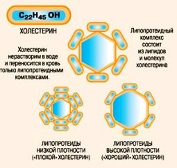 общий холестерин - картинка
